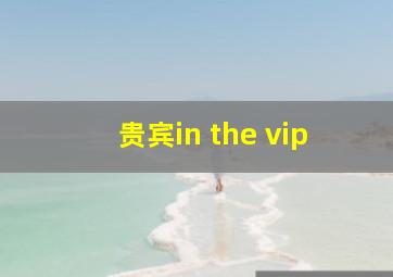 贵宾in the vip